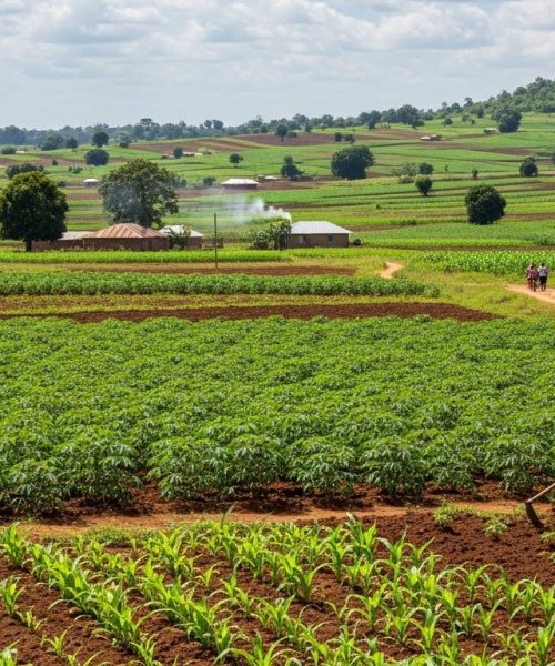 Whisk_0d11f06be3ddd29ab2d492621844880edr